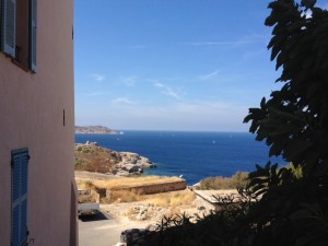 photo (16)