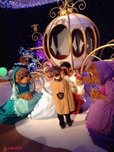 disney galeries
