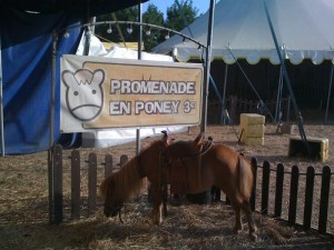 Un tour de poney ? Même à Paris c'est moins cher !