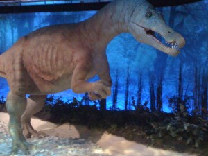 dinosaure palais découverte paris